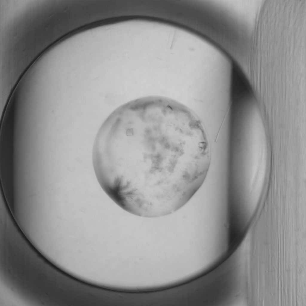 Crystals+Precipitate